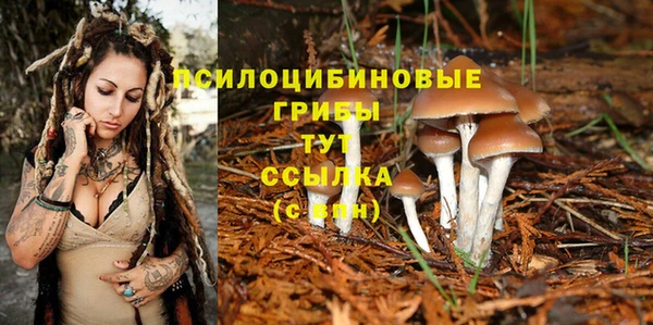 СК Богданович