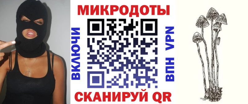 Галлюциногенные грибы Psilocybine cubensis  где купить наркоту  Гороховец 